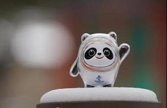 “冰墩墩”、、“雪容融”商标也抢手，，，，已被成功注册！！！